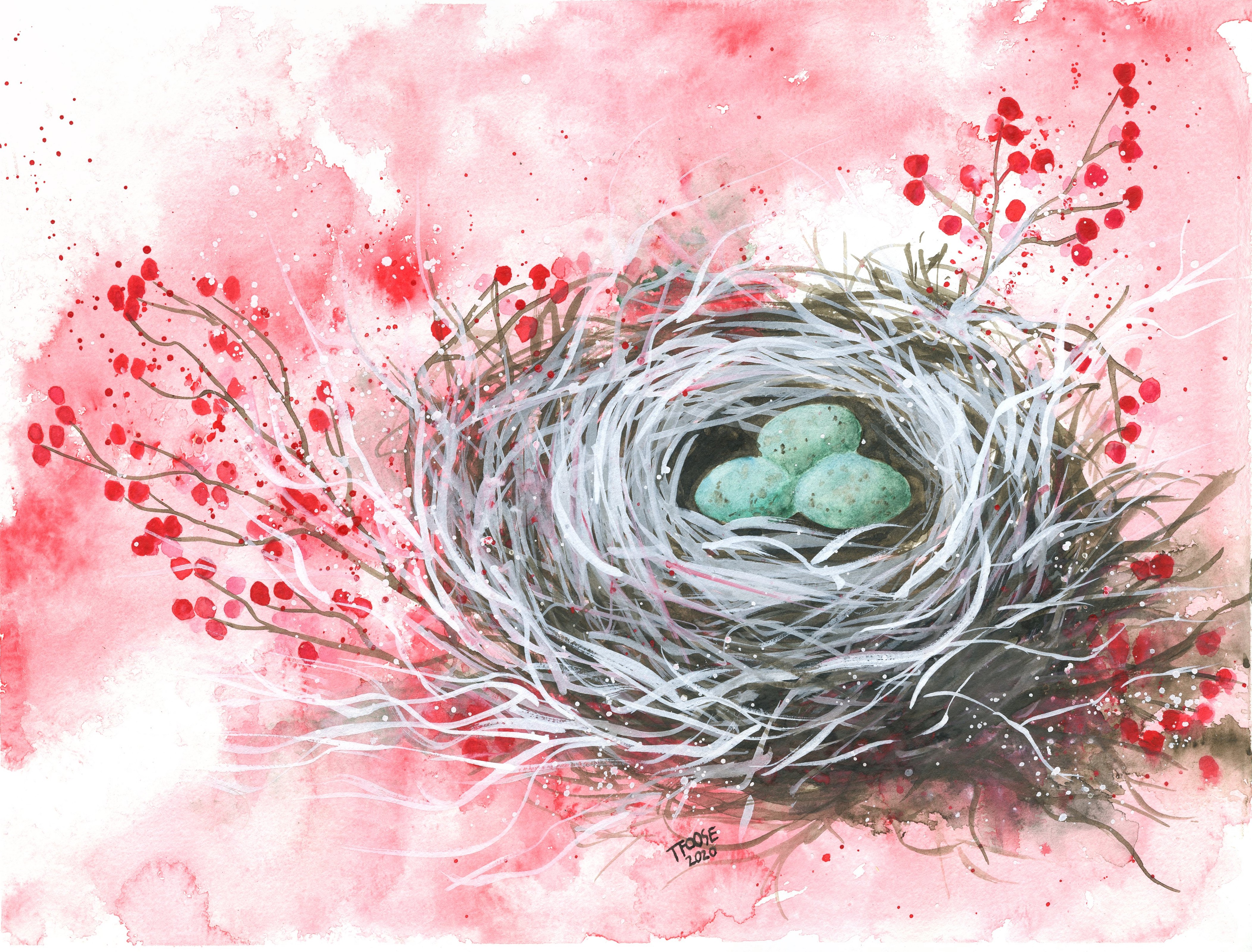 Bird Nest with Red Winter Berries Greeting Card