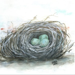 "A Bird's Nest"