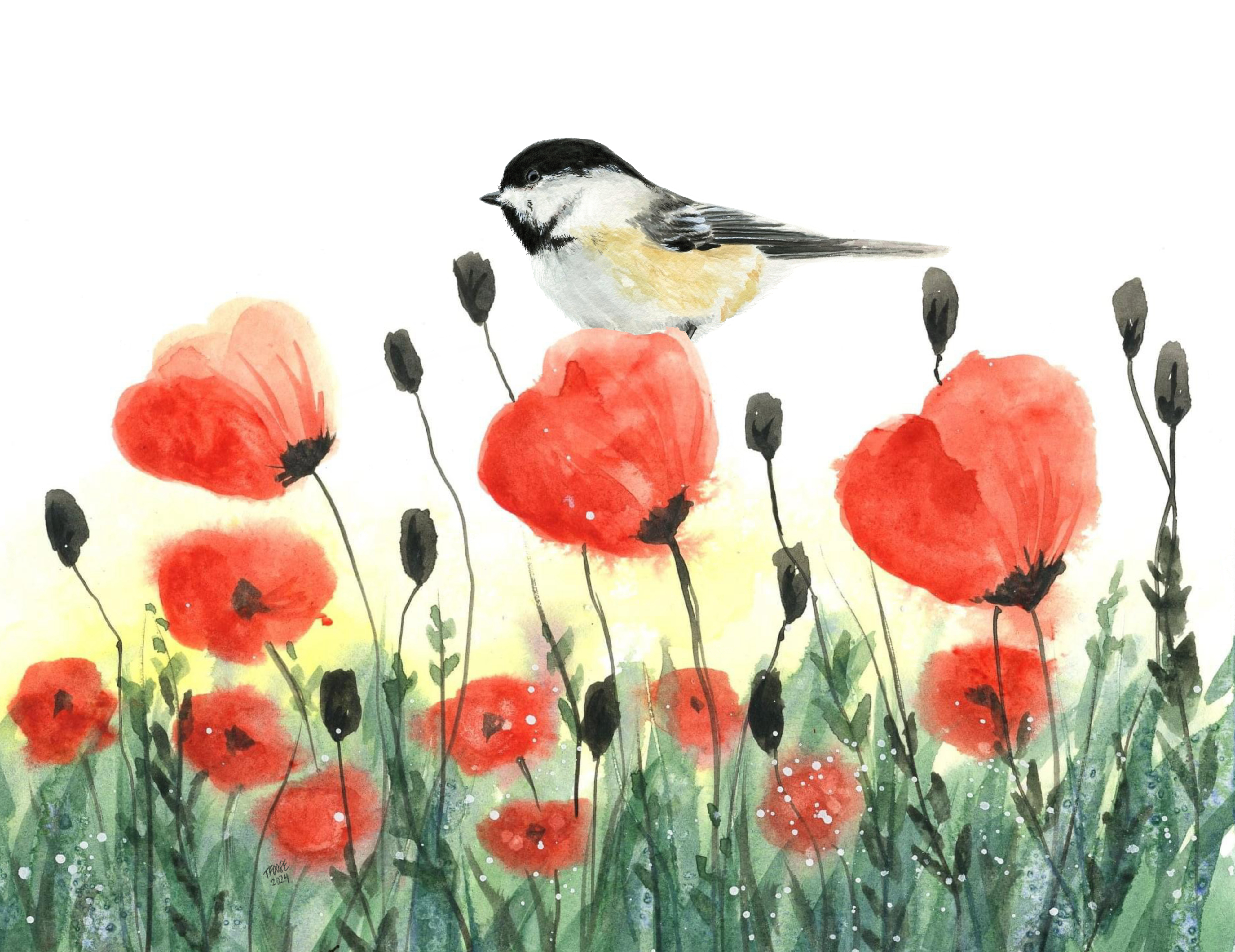Chickadee on Poppies