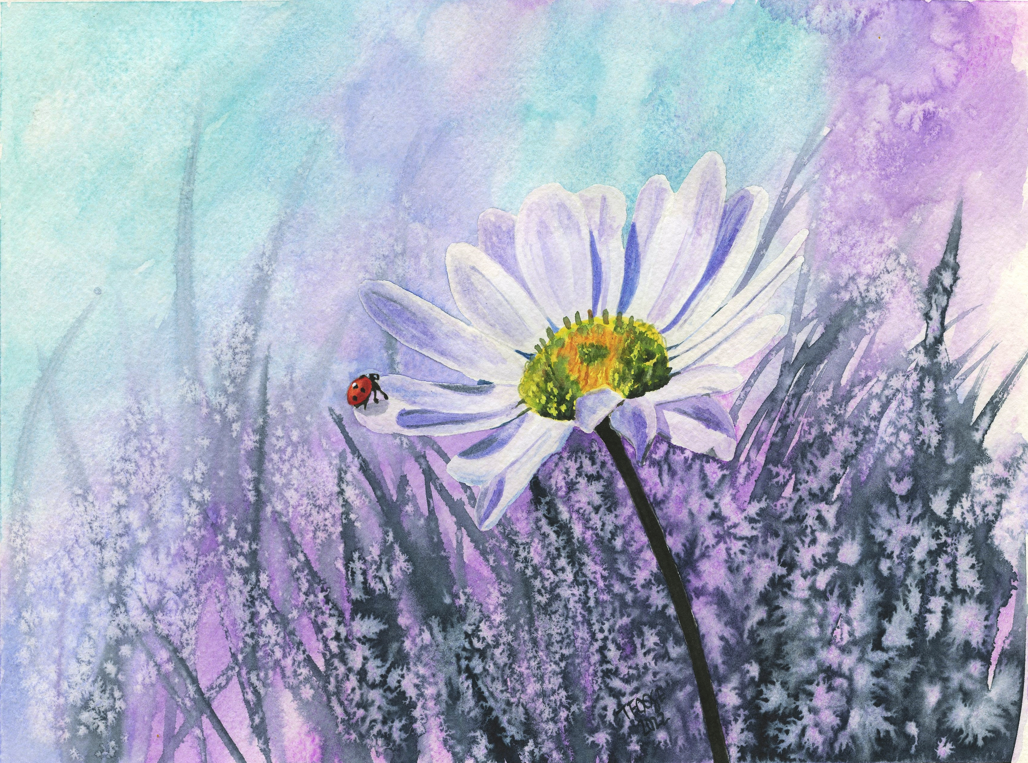 Ladybug on a Flower