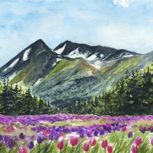 Tulips and Mountains
