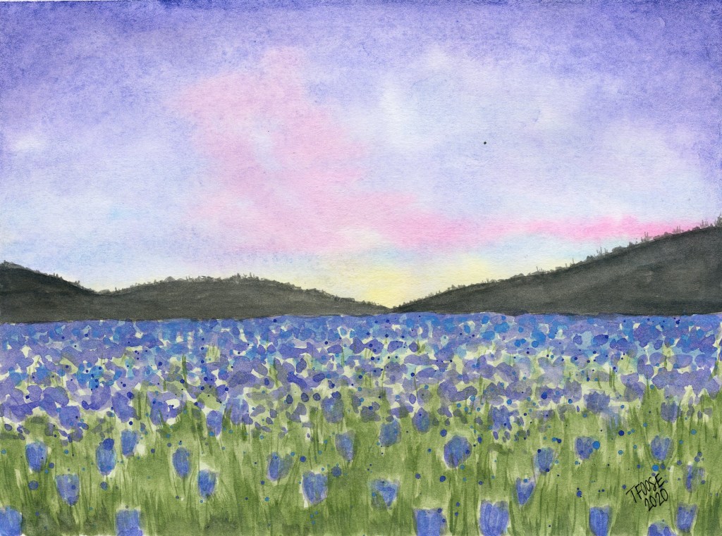 Blue Field of Flowers at Dusk