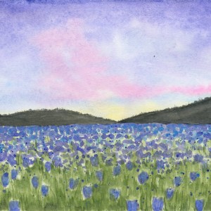 Blue Field of Flowers at Dusk