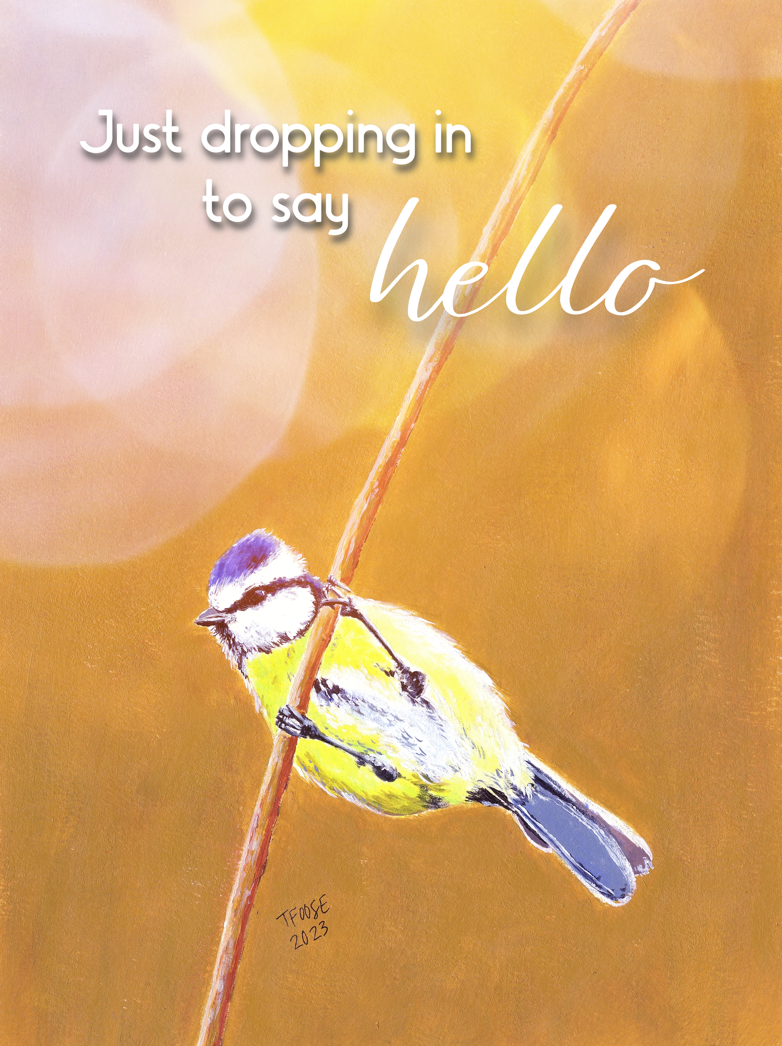 Blue Titmouse Hello Greeting Card - Image 3