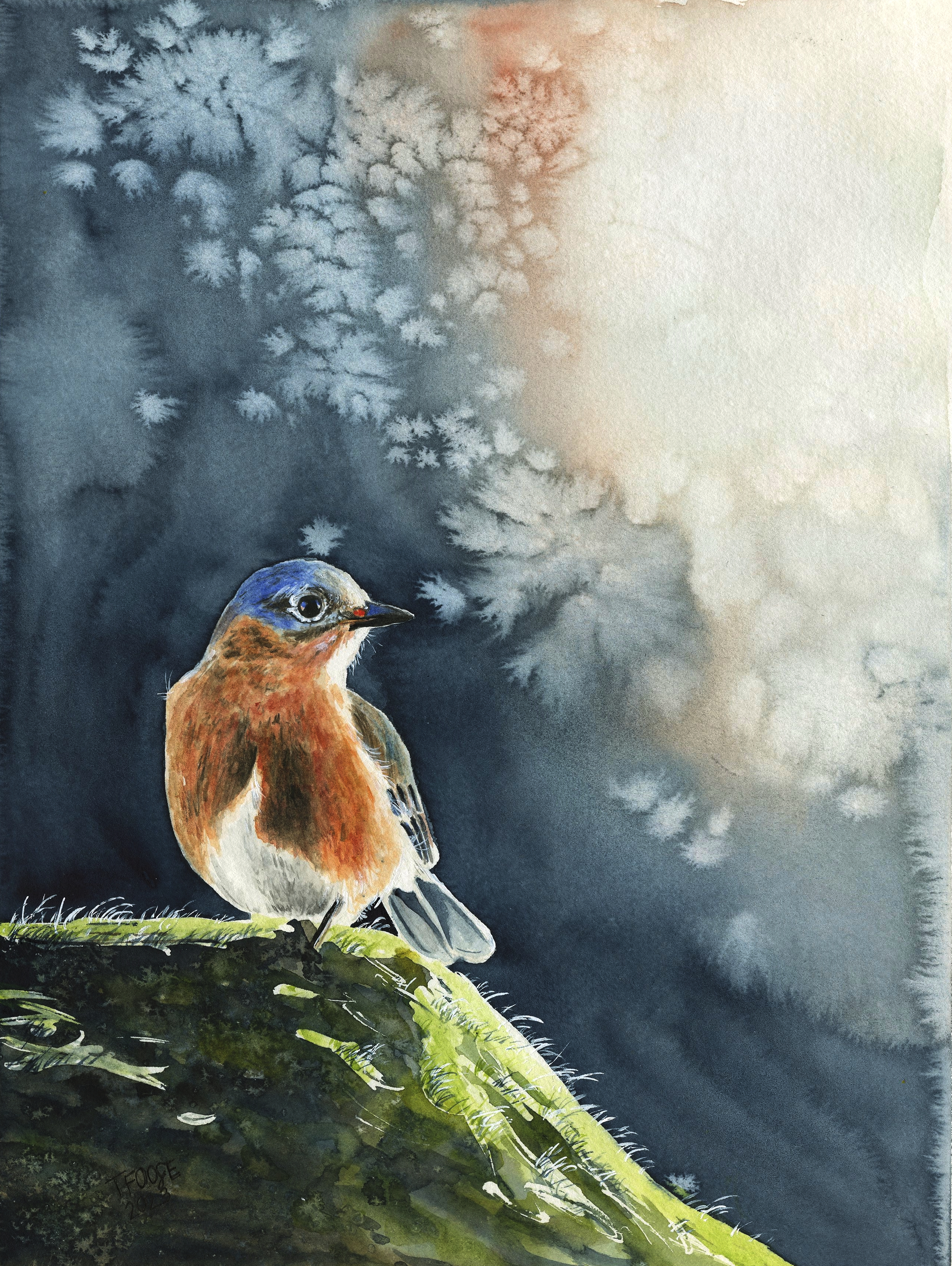 Bluebird in the Sunlight - Image 1