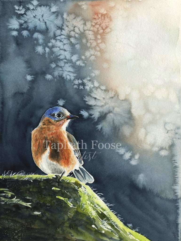 Bluebird in the Sunlight