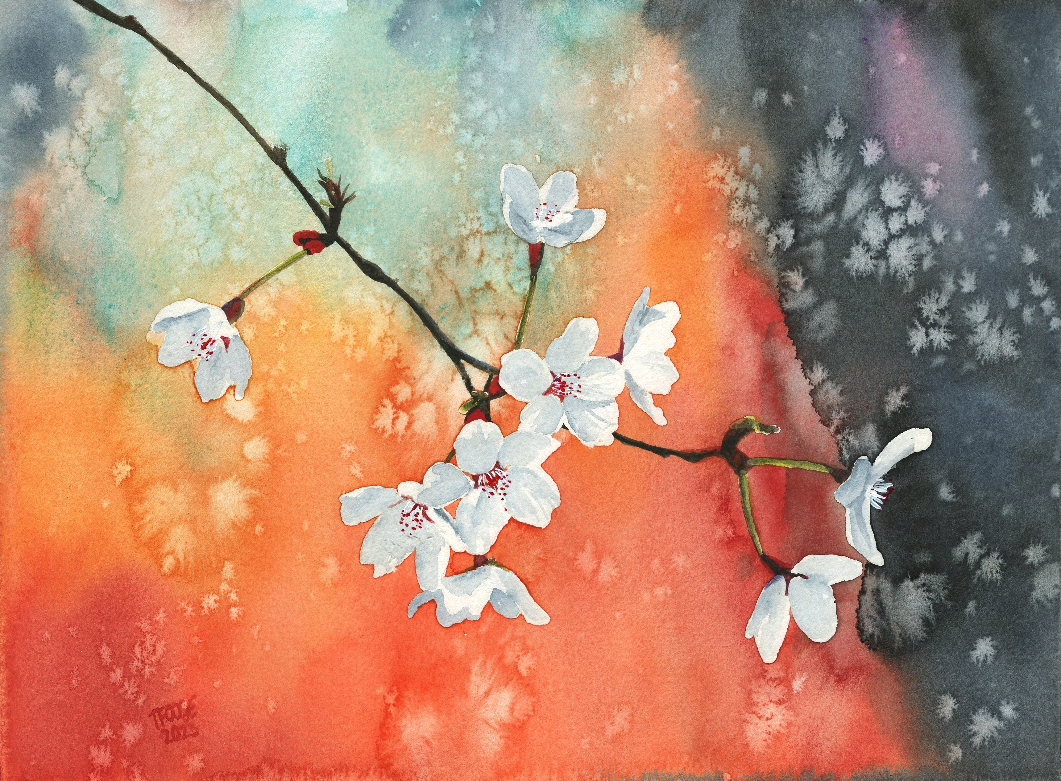Cherry Blossoms - Image 1