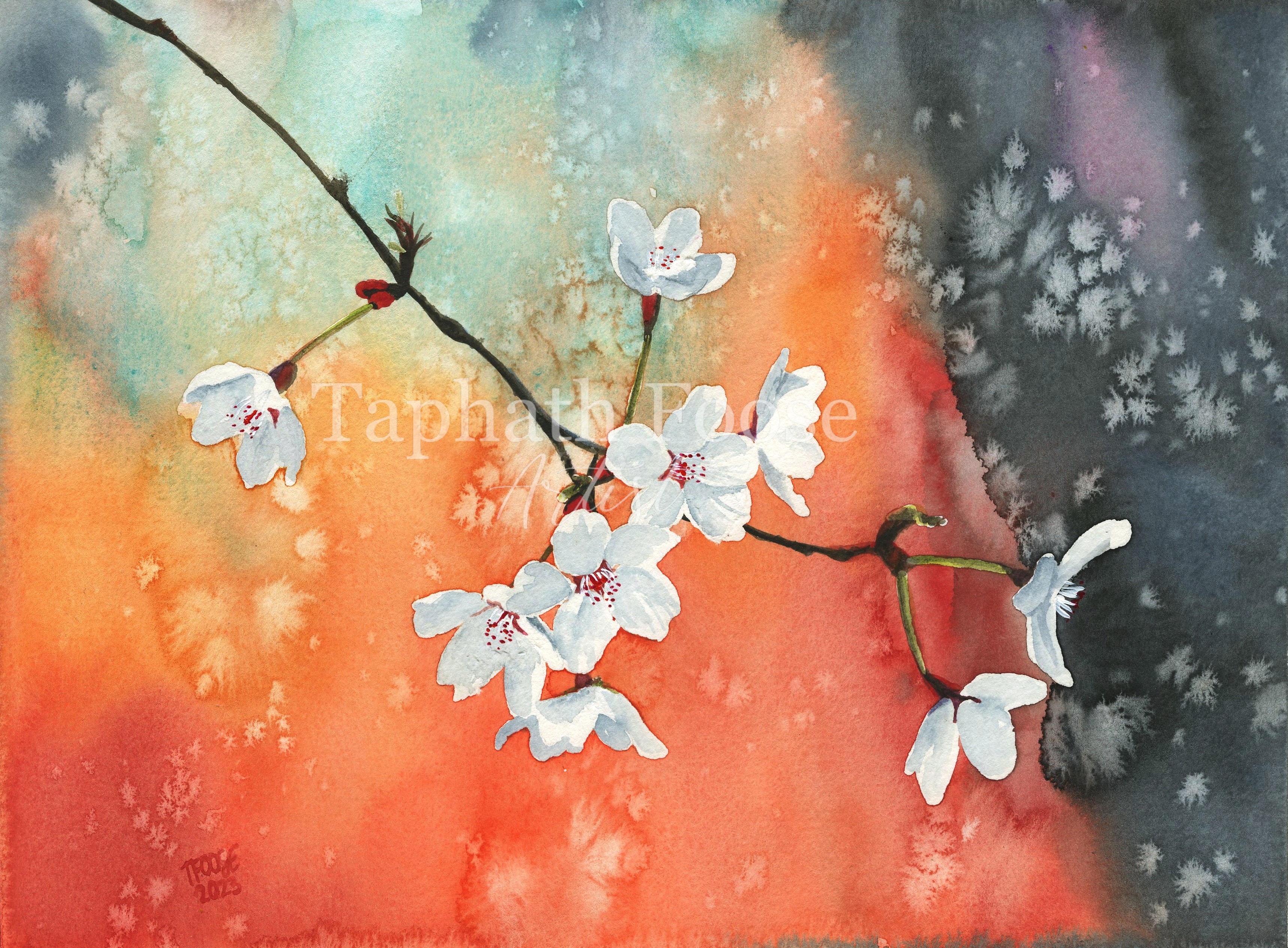 Cherry Blossoms - Image 1