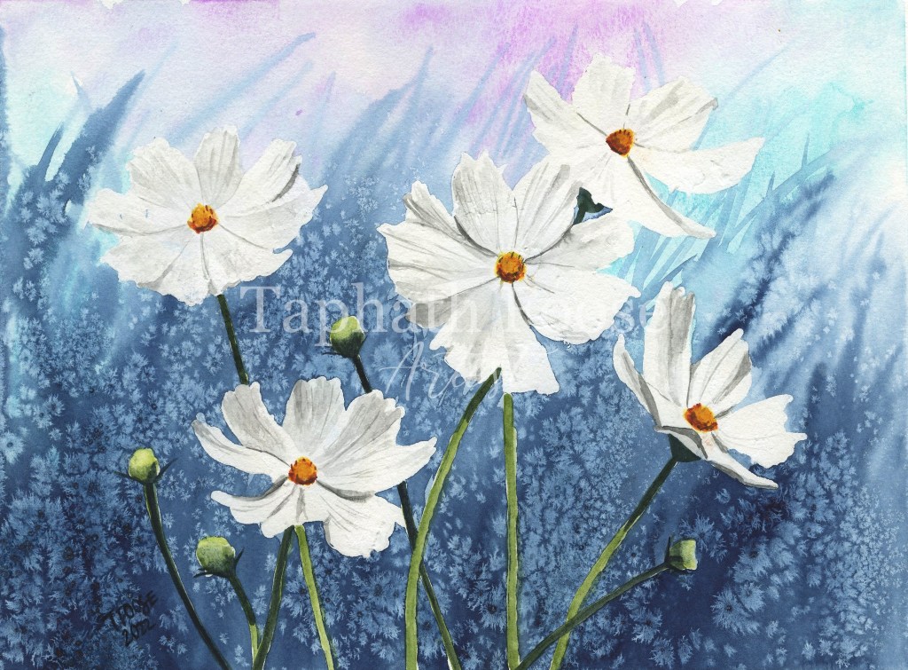 Cosmos in White