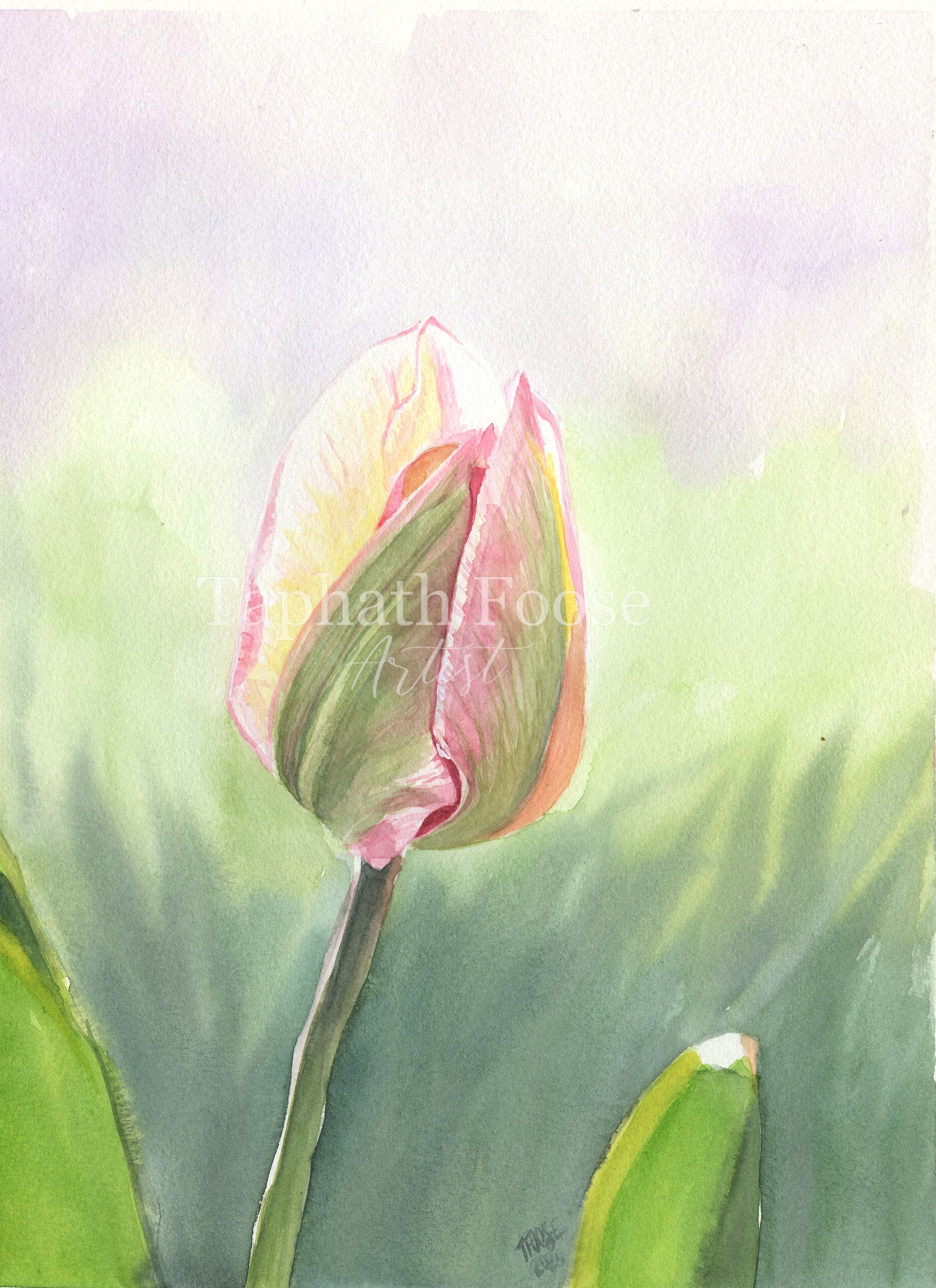 Easter Tulip - Image 1