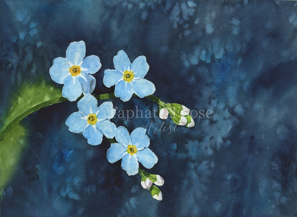 Forget Me Nots