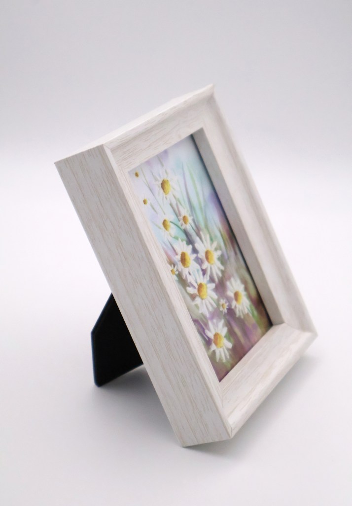 Daisies 1 Mini Print