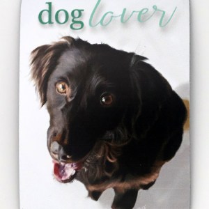 Dog Lover Magnet