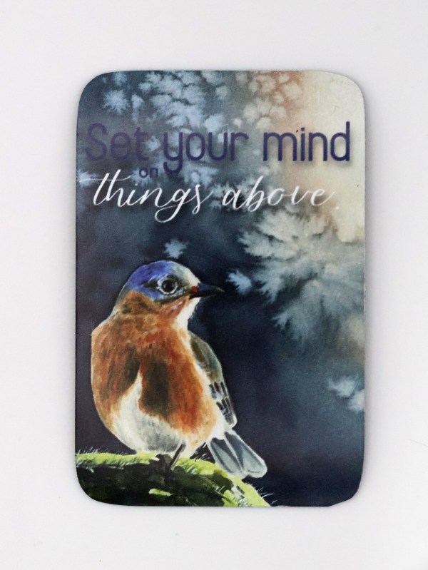 Set Your Mind Magnet