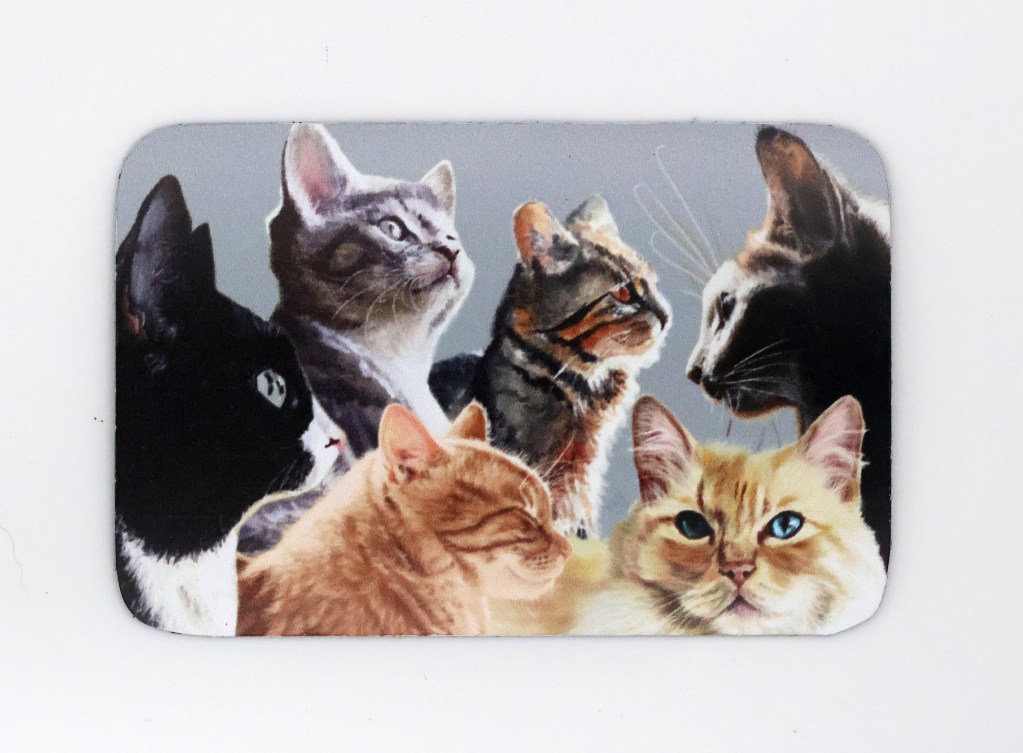Cat Collage Magnet