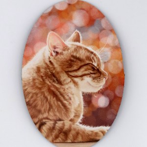 Orange Tabby Cat Magnet