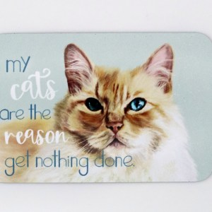 My Cats are the Reason Magnet