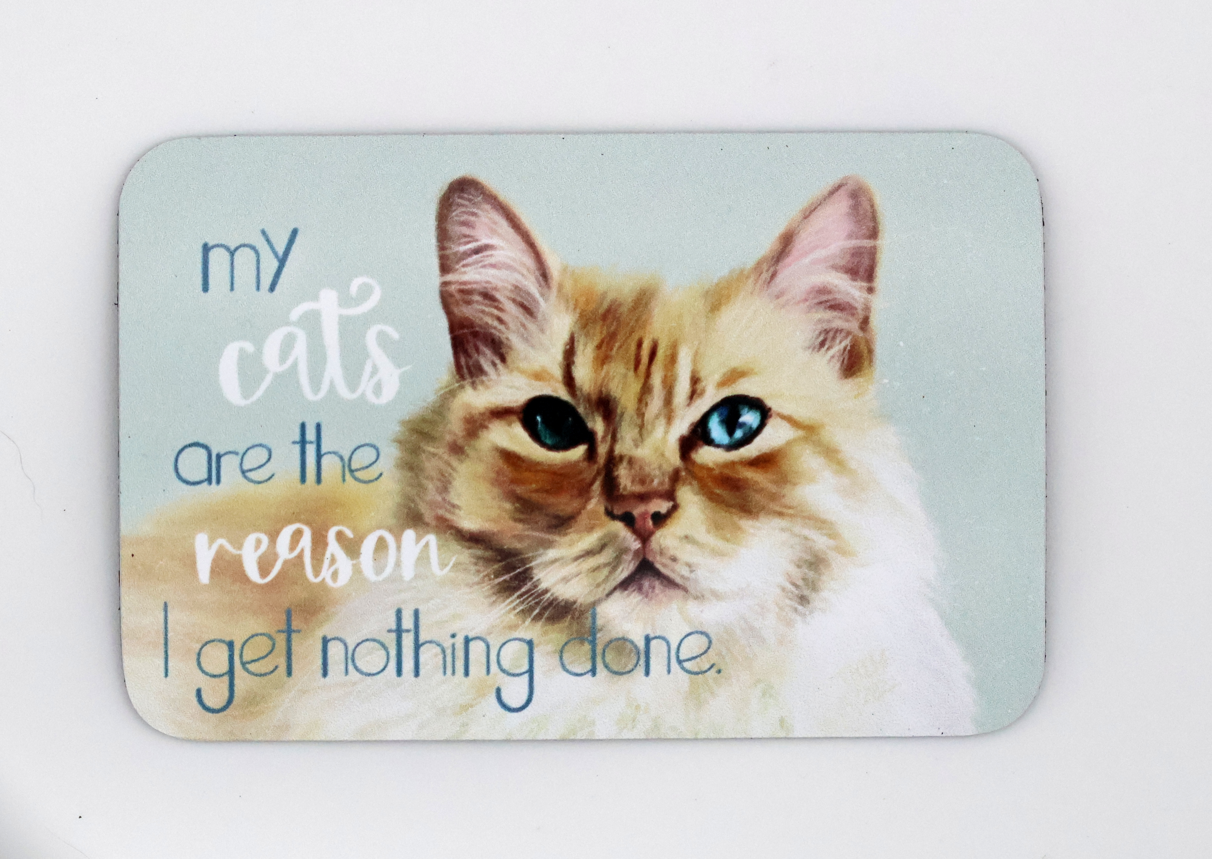 My Cats are the Reason Magnet - Image 1