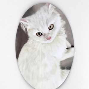 Aren't I cute? Magnet