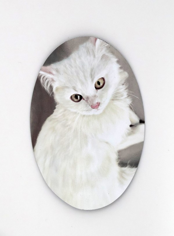 Aren't I cute? Magnet