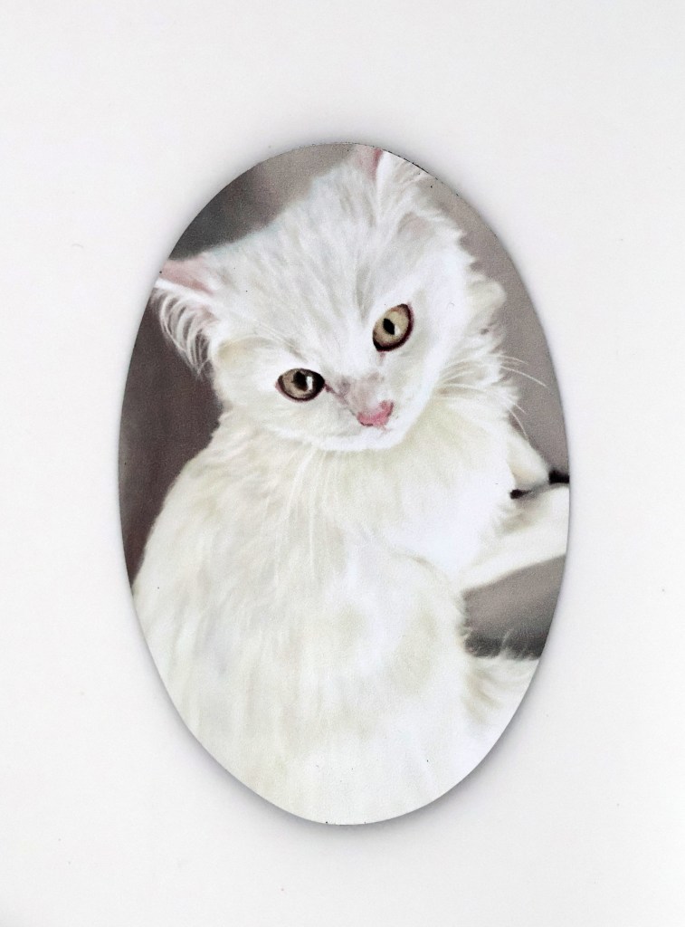 Aren't I cute? Magnet