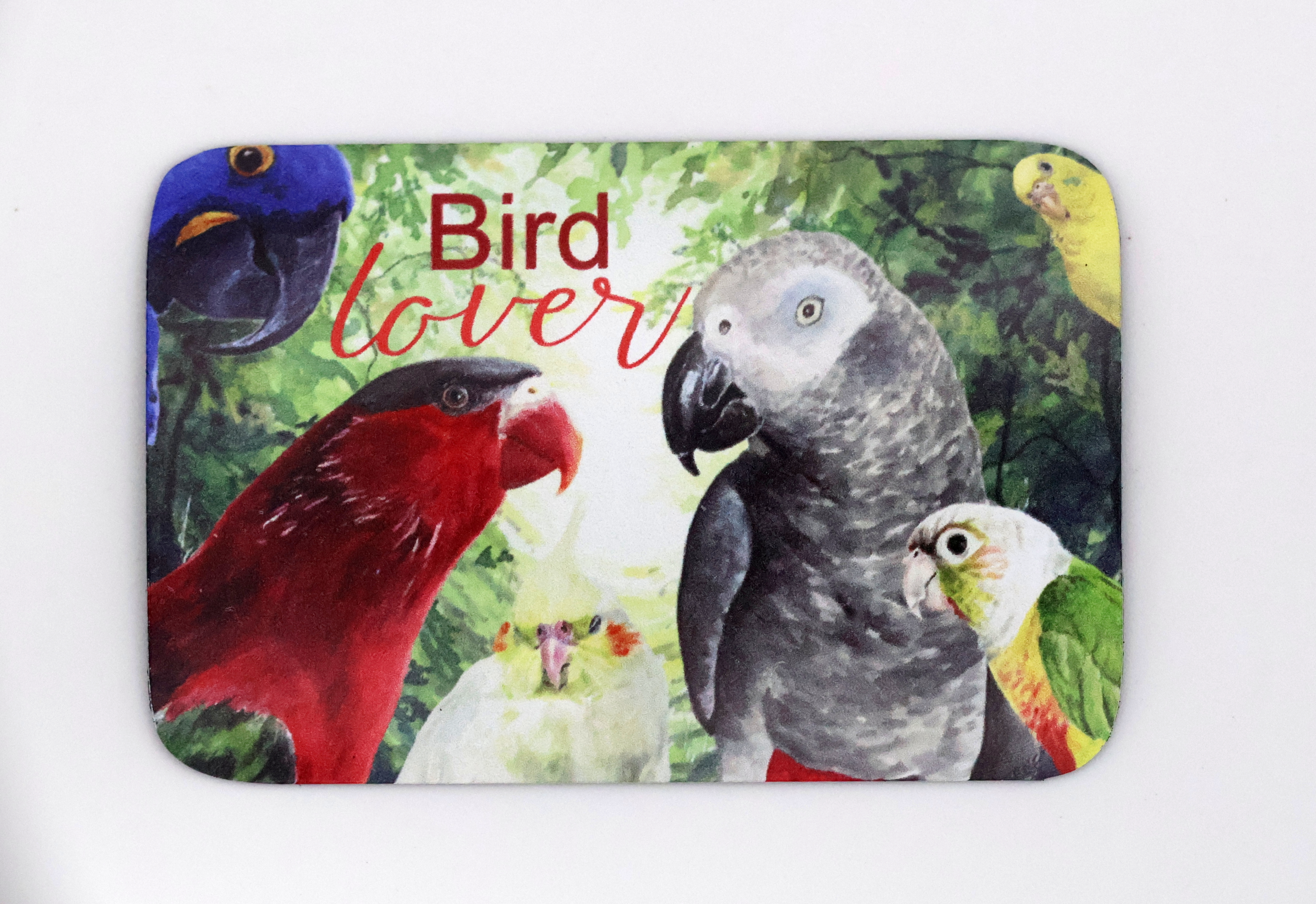 Exotic Bird Lover Magnet - Image 1