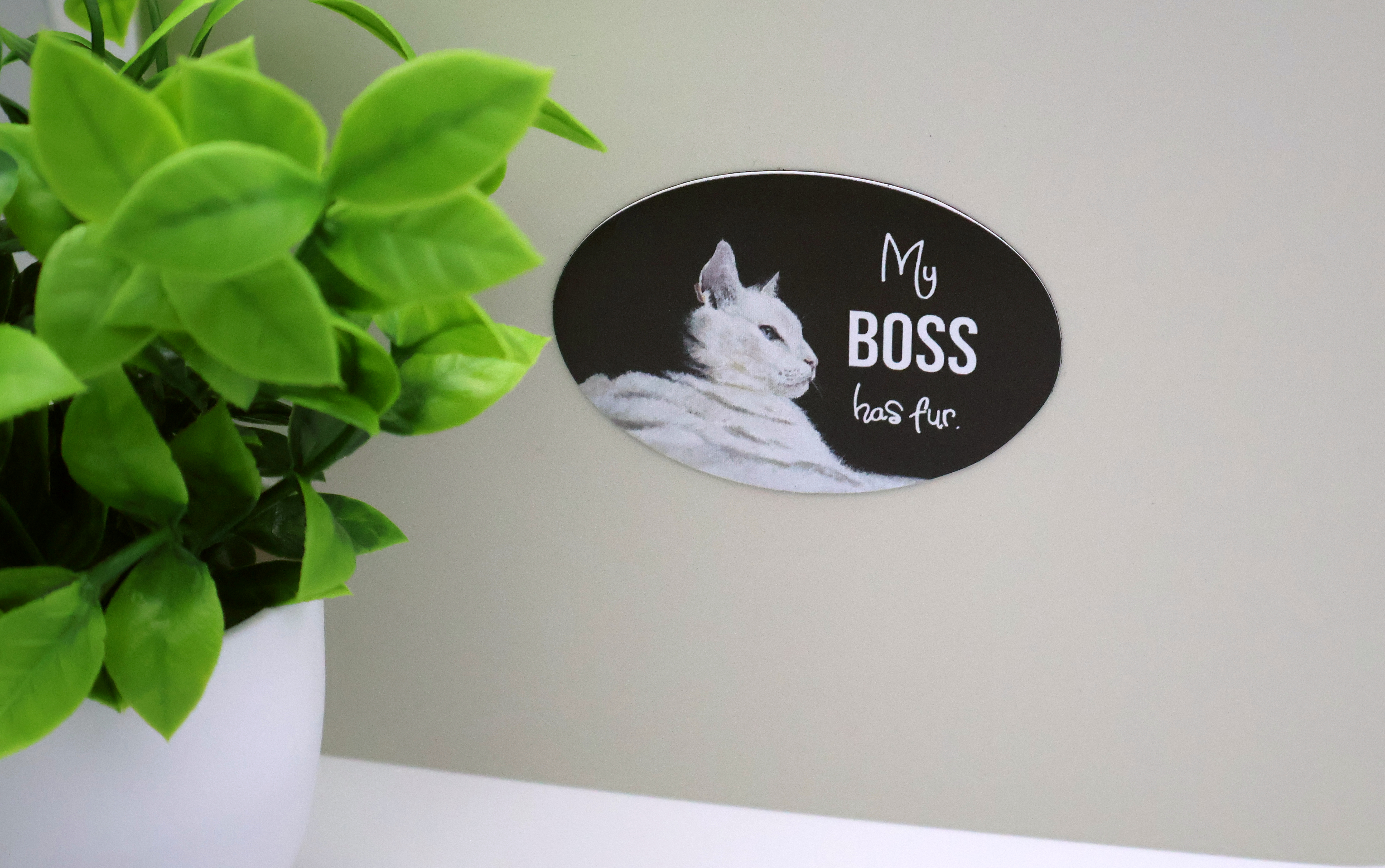 My Boss Has Fur - Cat Magnet - Image 3