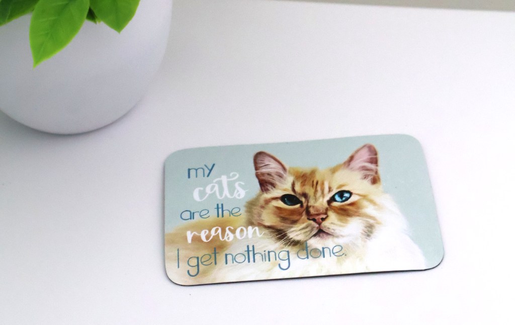 My Cats are the Reason Magnet