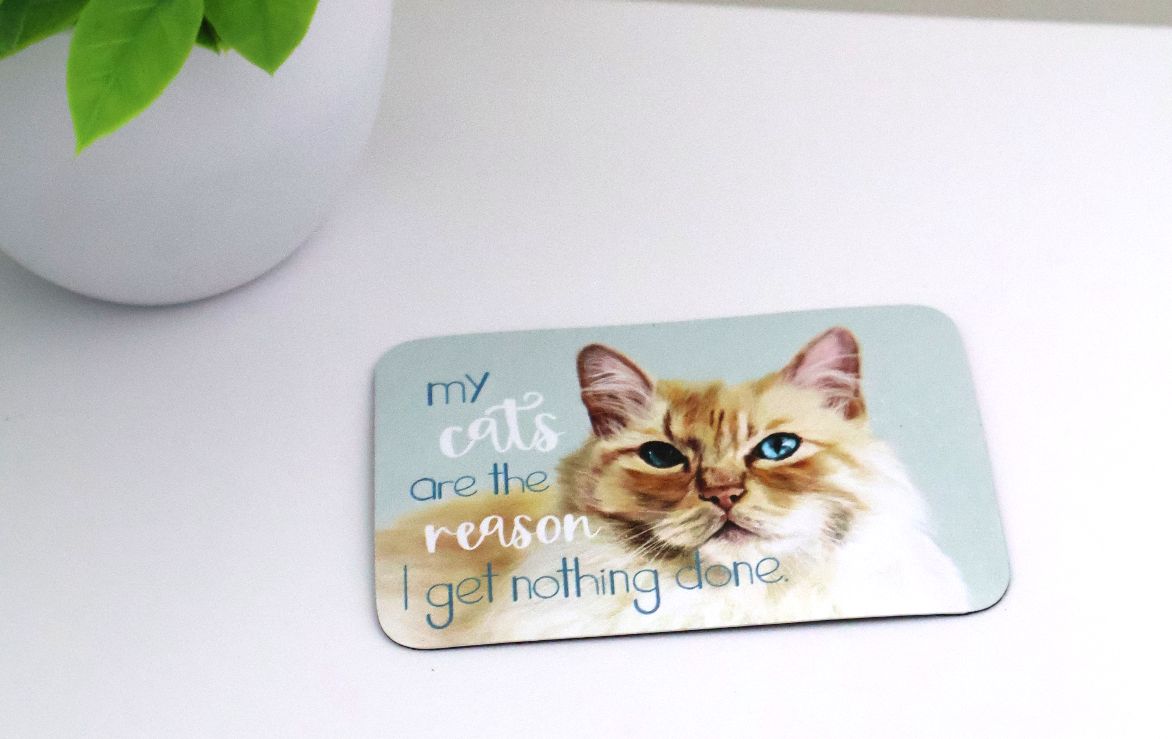 My Cats are the Reason Magnet - Image 2