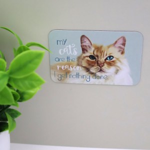 My Cats are the Reason Magnet - Image 3