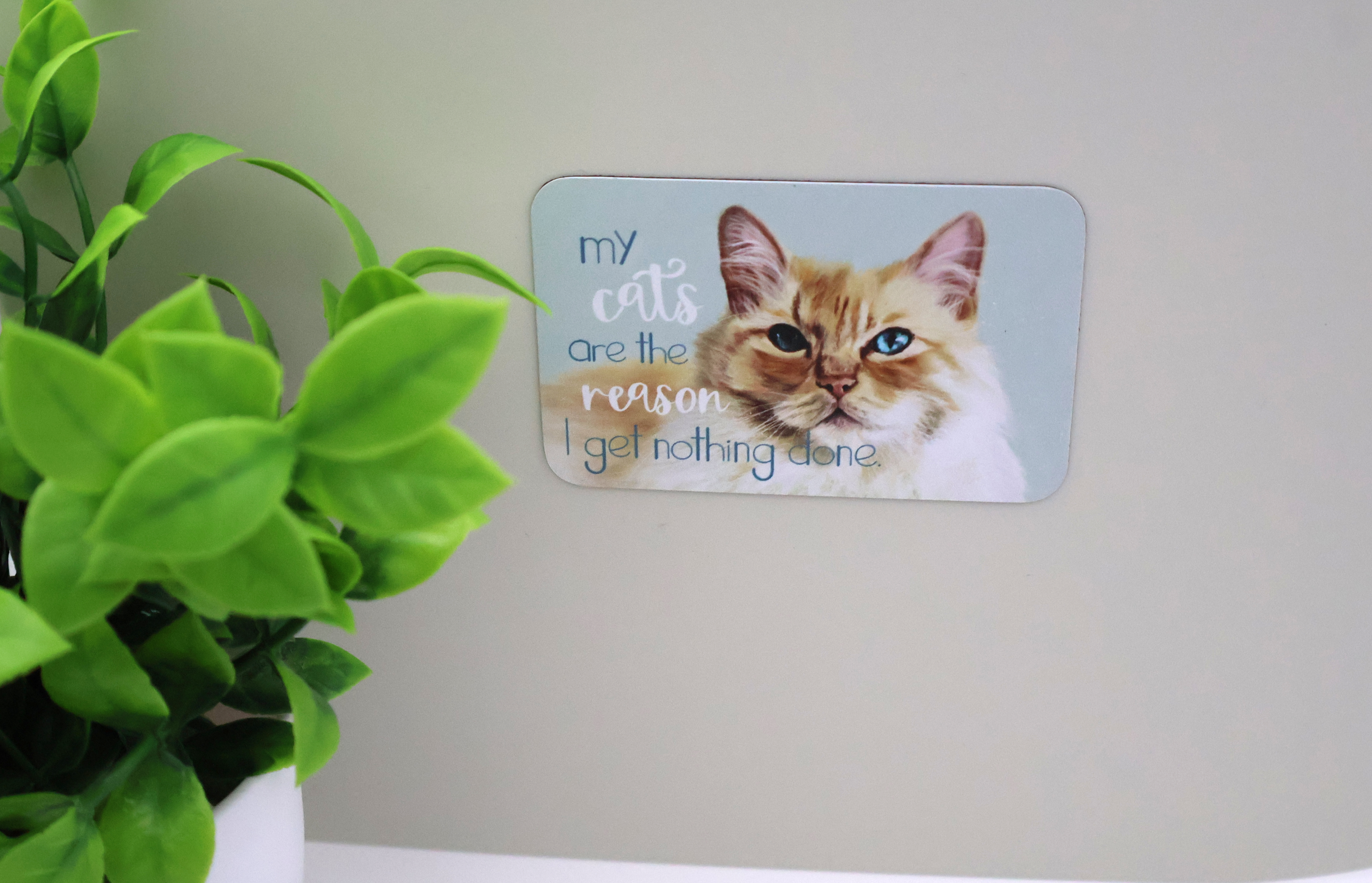 My Cats are the Reason Magnet - Image 3
