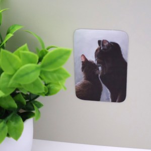 Her Love Magnet - Image 3