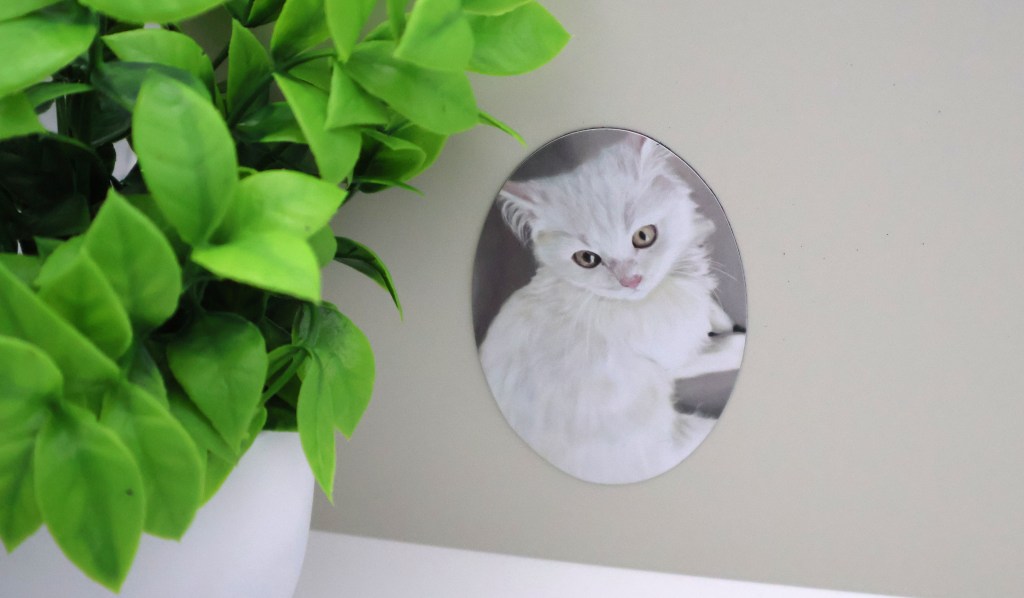 Aren't I cute? Magnet