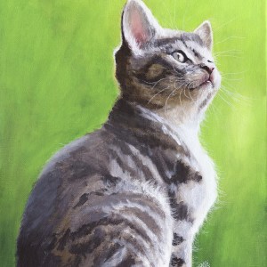 Kitten in the Green Light