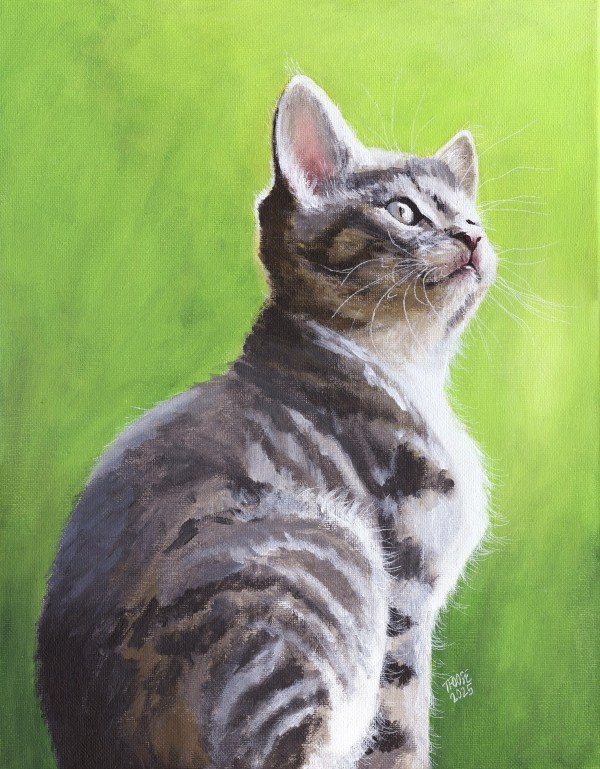 Kitten in the Green Light