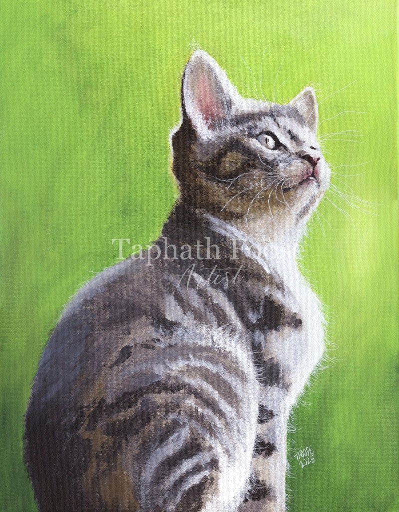 Kitten in the Green Light