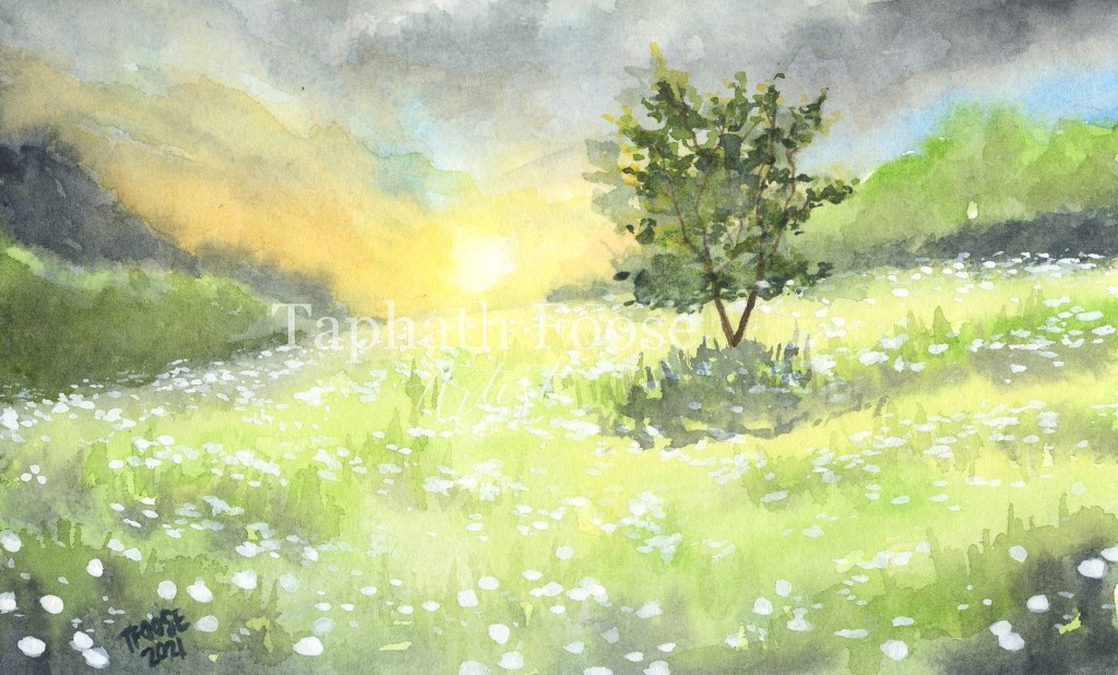 Peaceful Sunset