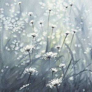 Queen Anne's Lace in the Field