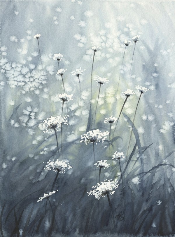 Queen Anne's Lace in the Field