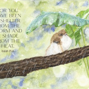 Shelter in the Storm Greeting Card