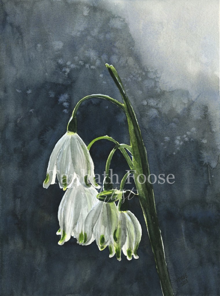 Snowdrops in the Sunlight