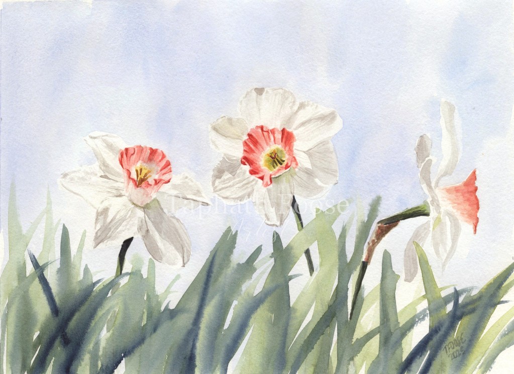 Springtime Beauty