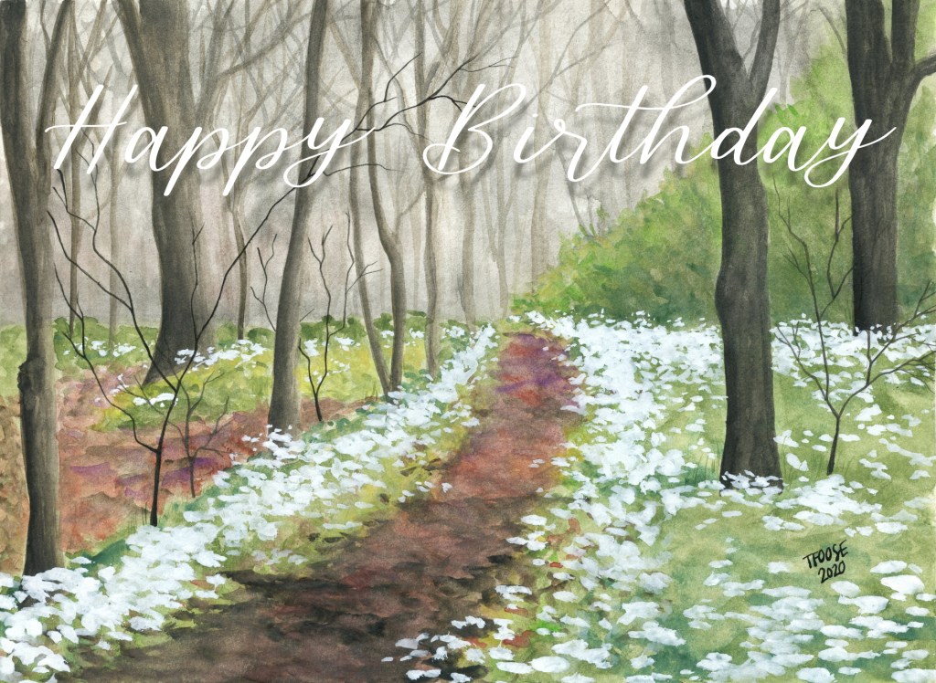 Springtime in the Woods Greeting Card