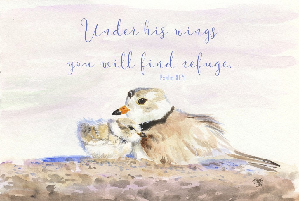 Under His Wings Greeting Card