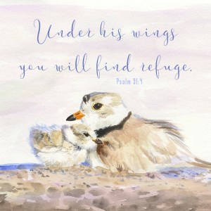 Under His Wings Greeting Card