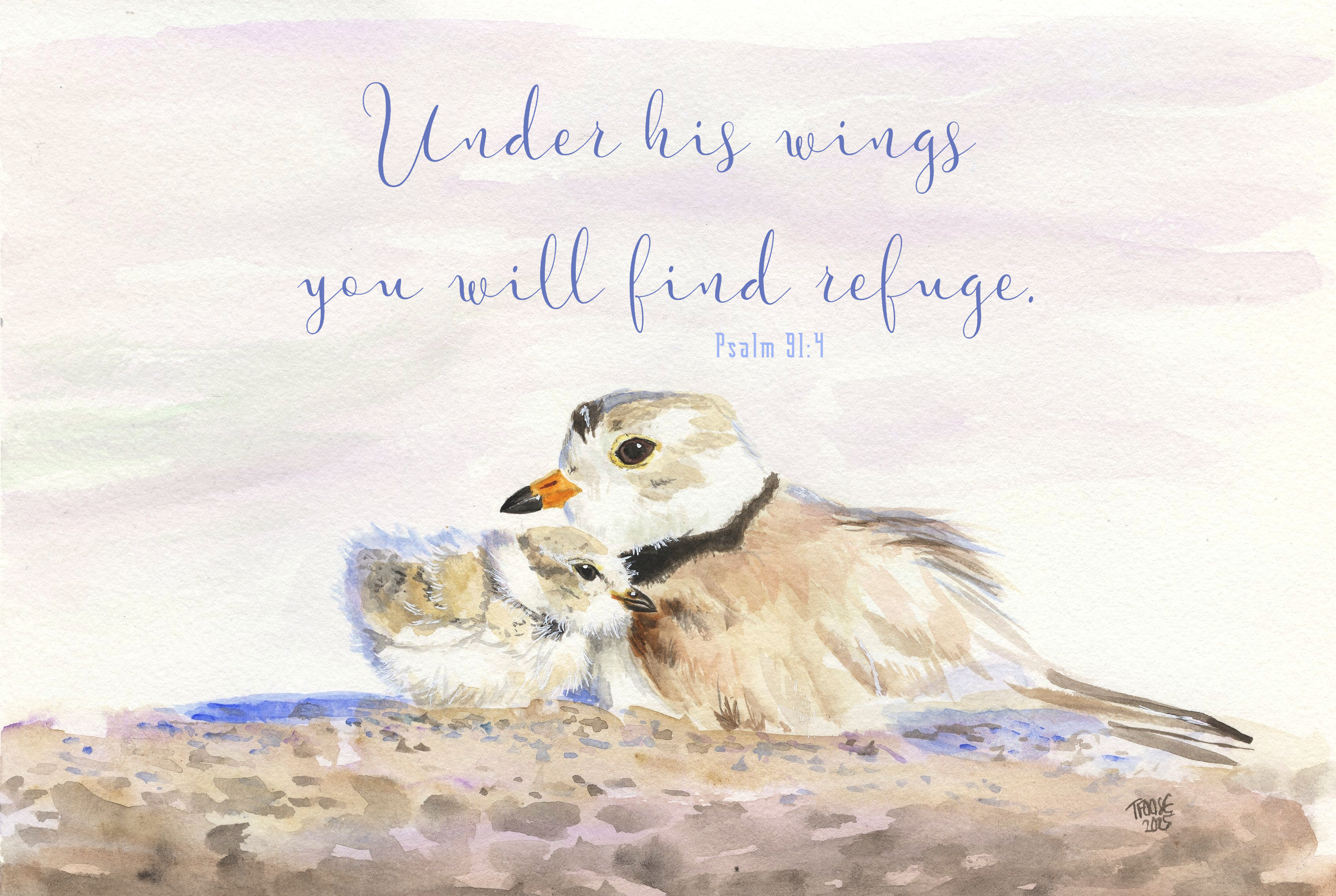 Under His Wings Greeting Card - Image 1