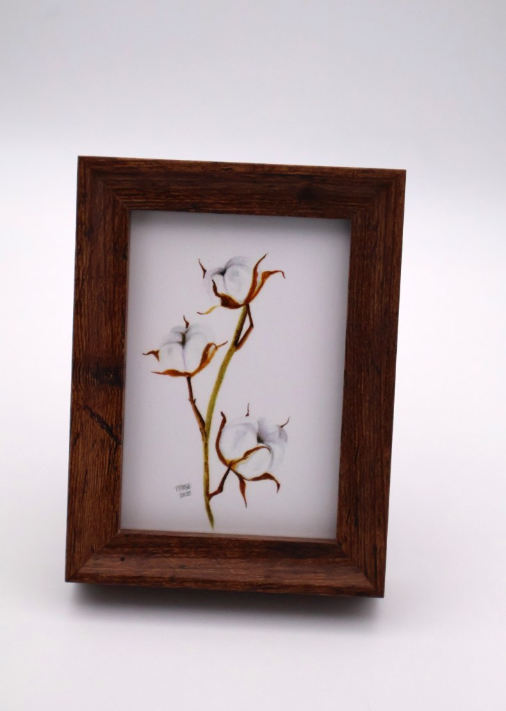 Cotton Plant Mini Print