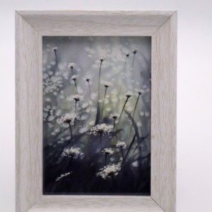 Queen Anne's Lace in the Field Mini Print - Image 1