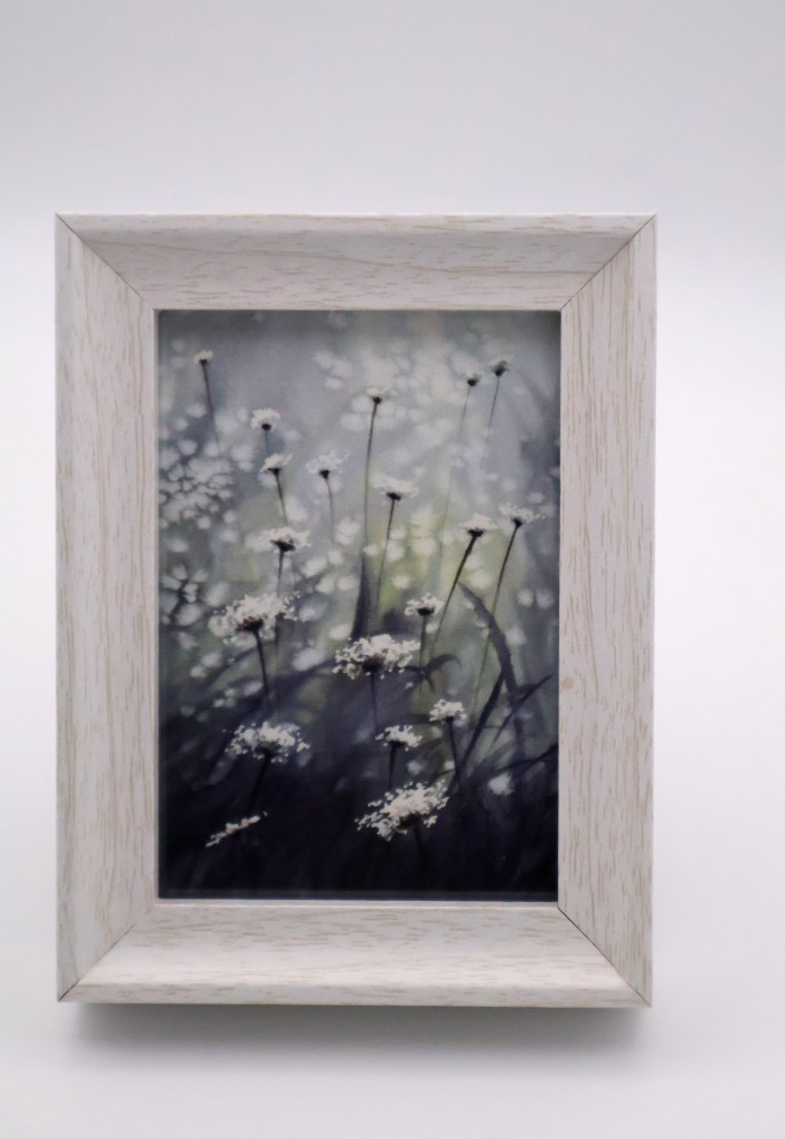 Queen Anne's Lace in the Field Mini Print
