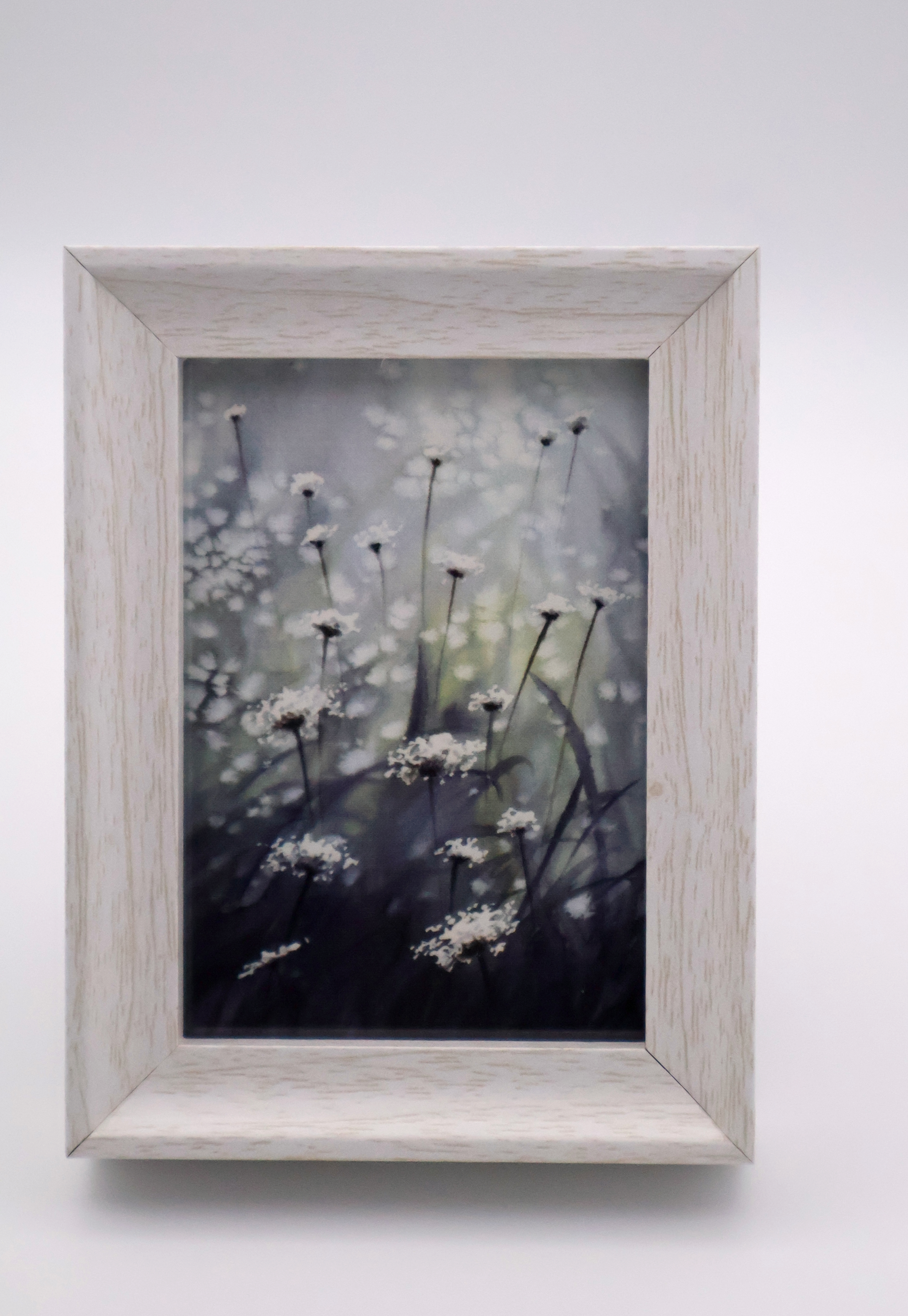 Queen Anne's Lace in the Field Mini Print - Image 1